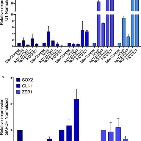 Analyses Of The Genetic Expression Pattern Of Lncrnas And Lncrna‐mrna