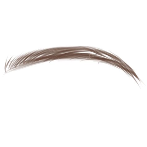 Brow Png Image Brows Brown Black Brows Flat Brows Eyebrow Brown