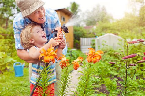 Best Time To Water Garden In Hot Weather Back Gardener