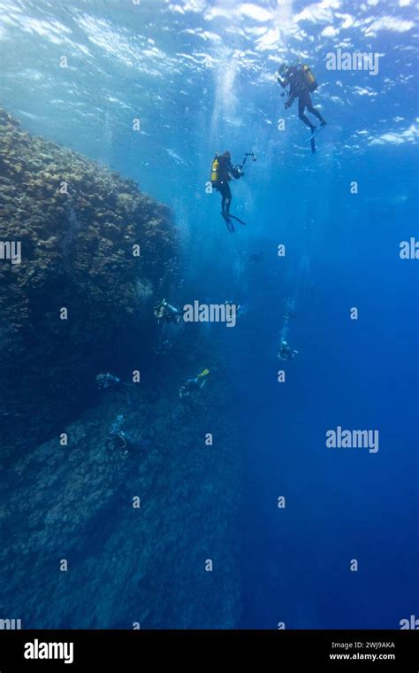 Group Of Scuba Divers And Photographers Swim In The Clear Blue Waters