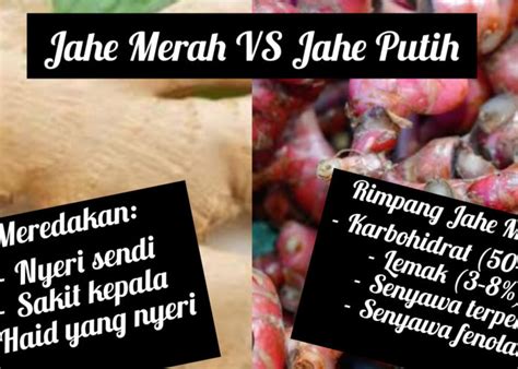 Jahe Merah Vs Jahe Putih Lebih Baik Mana Untuk Kesehatan Tubuh