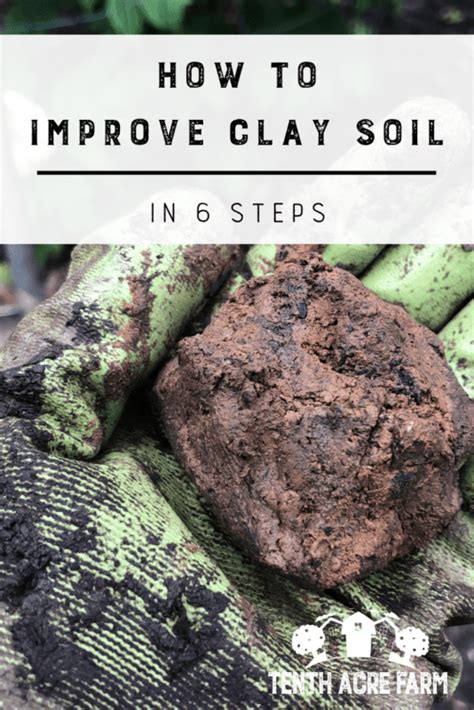 How To Improve Clay Soil In Steps Tenth Acre Farm