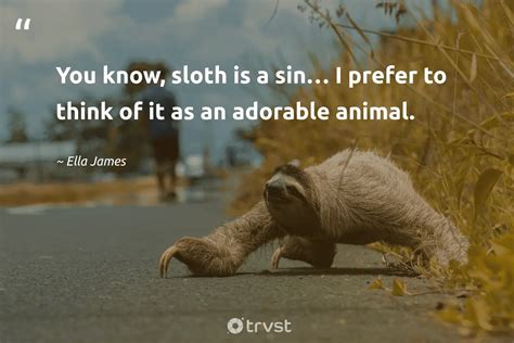 Sloths Quotes