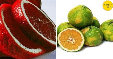 15 ЧУДЕС СХРЕЩУВАННЯ ФРУКТІВ І ЯГІД – ОЧМАНІТИ
