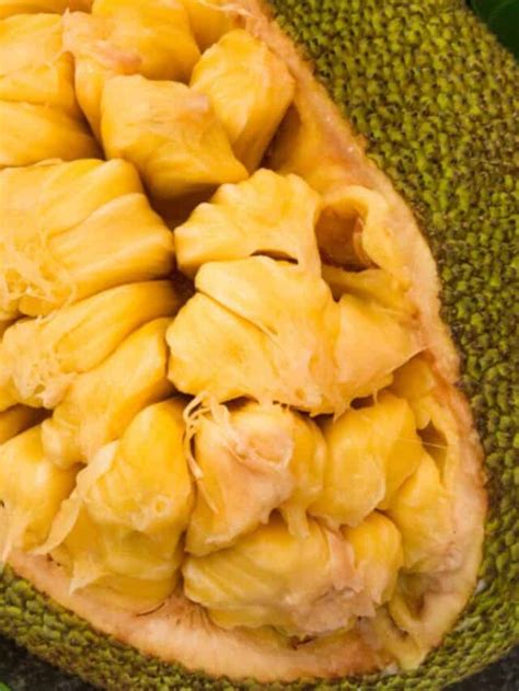 What Is Jackfruit What You Need To Know About This Tropical Superfood