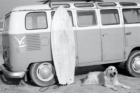 Gallery Vw T1 Surf
