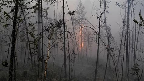 Humo De Los Incendios Forestales En Siberia Alcanza El Polo Norte Medio