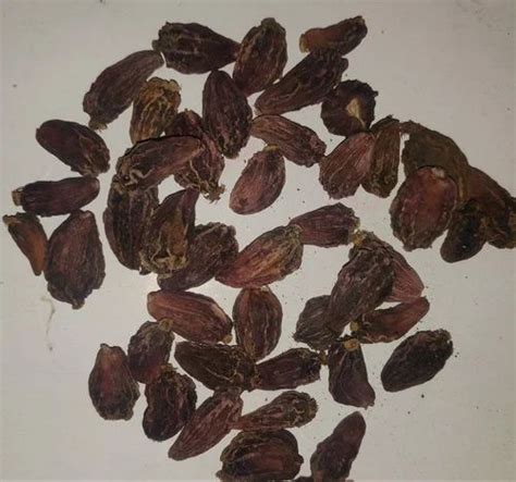 Cm Black Cardamom Seed Pp Bag Packaging Size 50 Kg At Rs 1450kg In