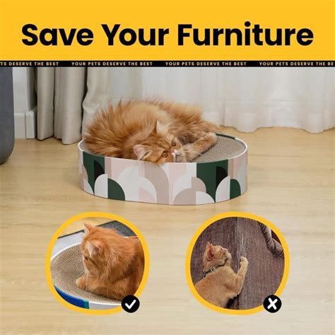 Griffoir Pour Chat Bol En Griffoir Carton Chat Ovale En Tapis