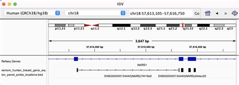 Pre Designed Xenium Gene Expression Panels Official 10x Genomics Support