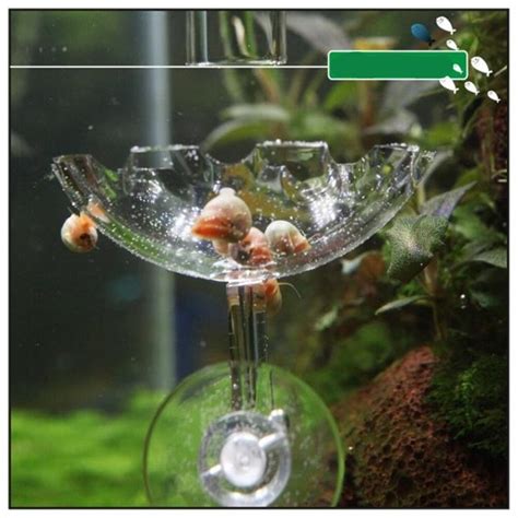 Aquarium Acryl Feeder Aquarium Garnalen Voeden Kom Grandado