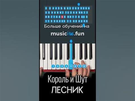 Как играть🃏Король и Шут - Лесник на пианино 🎹по цифрам👆#обучение # ...