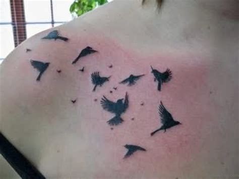 Fabulous Birds Tattoos On Chest