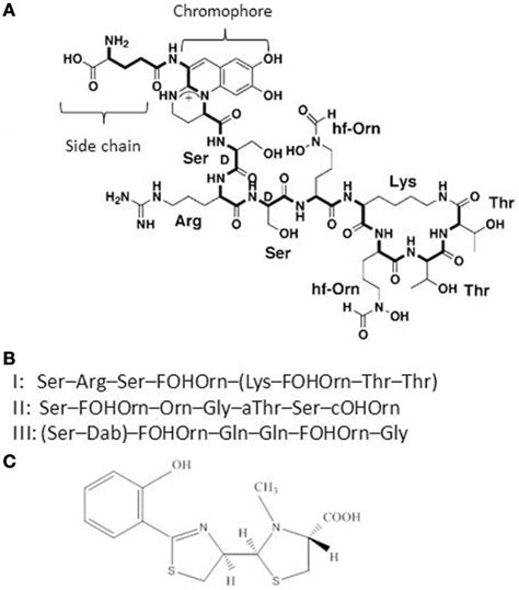 A Structure Of The P Aeruginosa Type I Pyoverdine Taken From Ravel