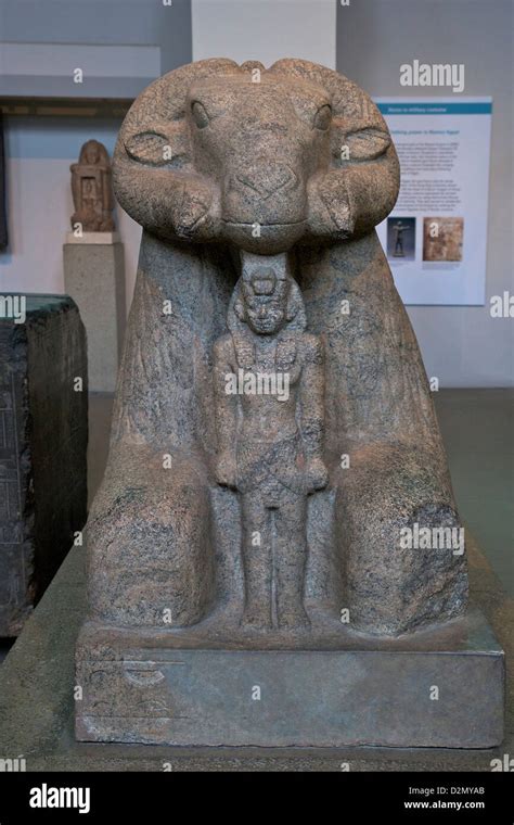 Granite Ram Of Amun With King Taharqa 690 664 Bc Nubia Egypt