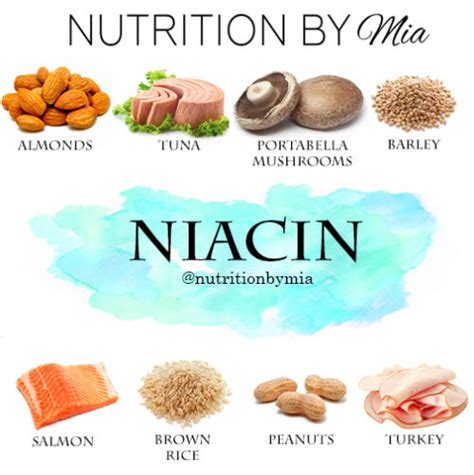 Nutrient Series Niacin