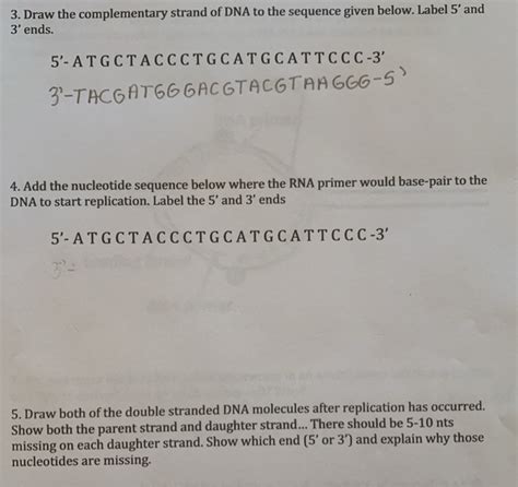 Solved Draw The Complementary Strand Of Dna To The Chegg