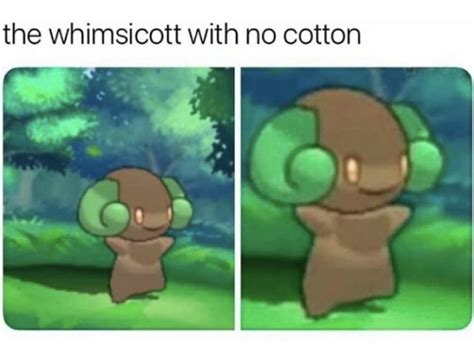 Guess Its Just Whimsi Now Rpokememes