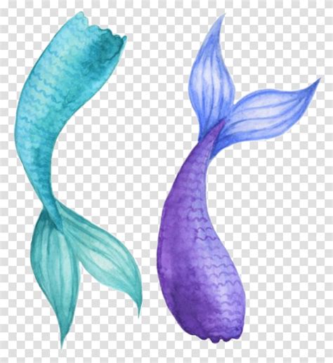 Watercolor Mermaidtail Mermaid Tail Teal Purple Mermaid Tail Watercolor