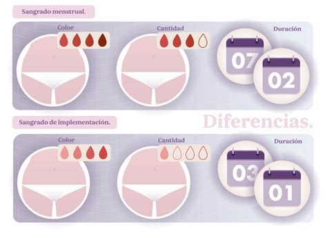 Sangrado de implantación por qué sucede Next Fertility