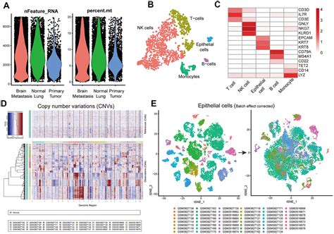 Single Cell Transcriptome Analysis Demonstrates Inter Patient And Intra