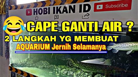 Cara Agar Air Aquarium Tidak Mudah Kotor Air Aquarium Jernih YouTube