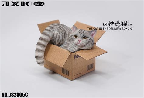 Small Cat in the Cardboard Box 3.0 C | HLJ.com