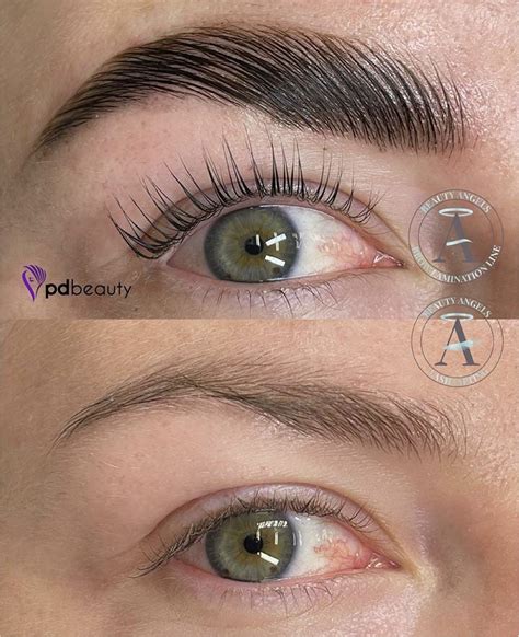 Brow Lamination Lash Lifting Online Course Pdbeauty