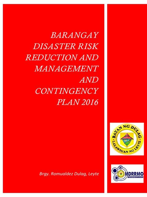bdrrm plan brgy romualdez