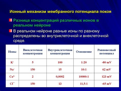 Мембранный потенциал покоя нейрона - online presentation