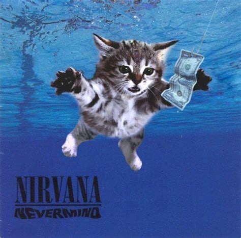 Nirvanas Nevermind Cat Edition Rpics