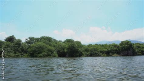 Paisaje De Manglares Paseo En Lancha Por La Laguna De Coyuca En Pie De