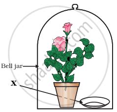 Science Sample English Medium Class Question Paper