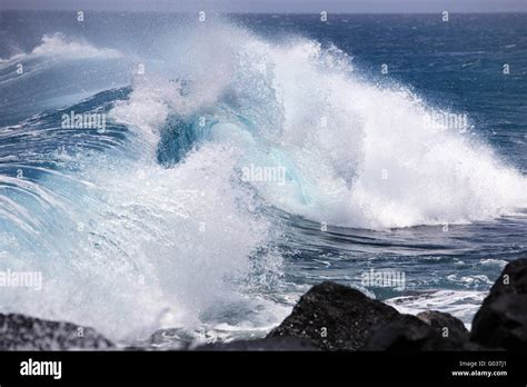 natural capture  res stock photography  images alamy