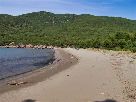 Cala Di Forno Flickr