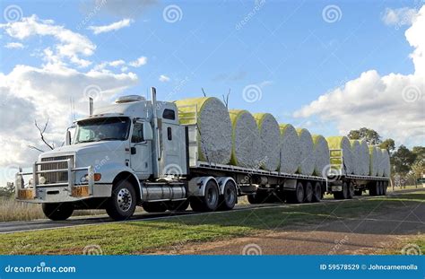 Cotton Being Trucked Stock Image Image Of Rural Trucked 59578529