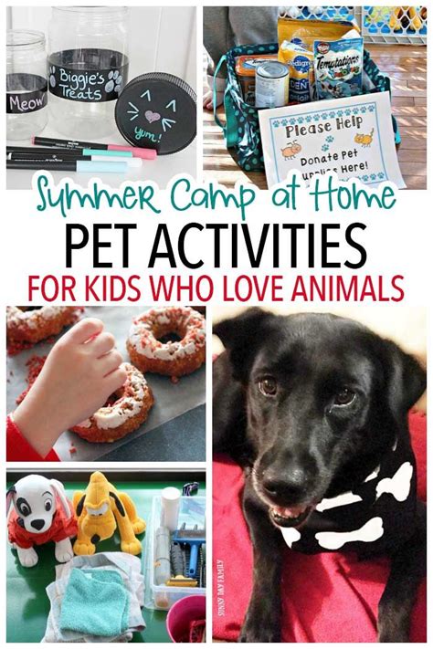 Pet activities for kids with a free printable activity guide – Artofit