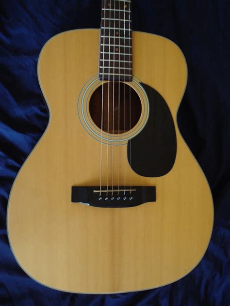 SoCal Gear Museum: 1981 Carlos Model No. 209 Acoustic Folk Guitar