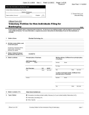 Fillable Online Cases Stretto Public X164Bankruptcy Official Form