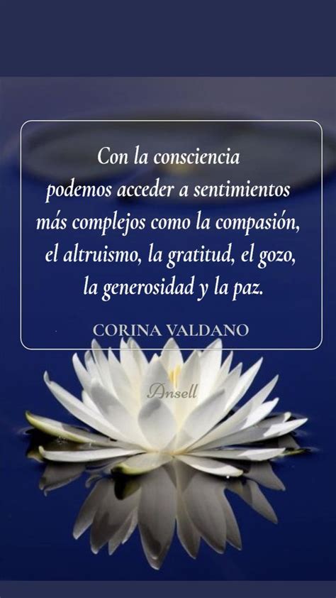 Frases Sobre La Conciencia Frases Sabias Frases Espirituales Frases