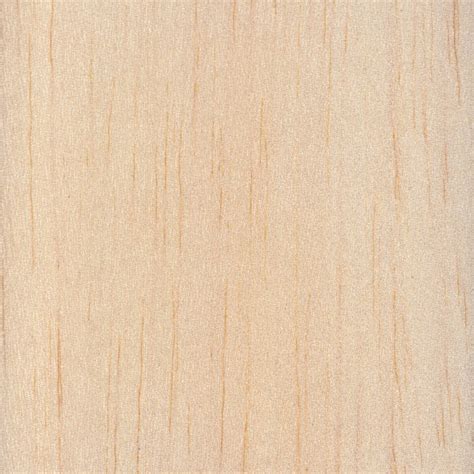 Balsa | The Wood Database (Hardwood)