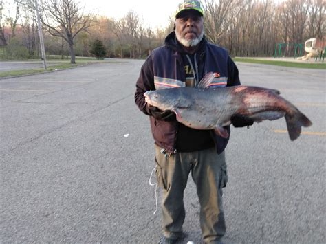 Fishidy