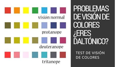 Quieres saber cómo ve un Daltónico los colores rojo y verde Incluye