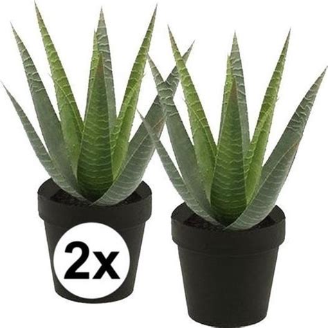 X Aloe Vera Artificiel Vert En Pot Cm Plante D Int Rieur Aloe