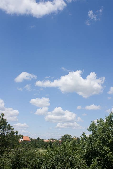 Sky, clouds, trees and houses Free Photo Download | FreeImages