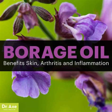 7 Borage Oil Benefits for Skin, Arthritis and Inflammation - Dr. Axe