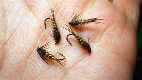 Tying A Gold Ribbed Olive Hare S Ear Nymph With Davie Mcphail Youtube