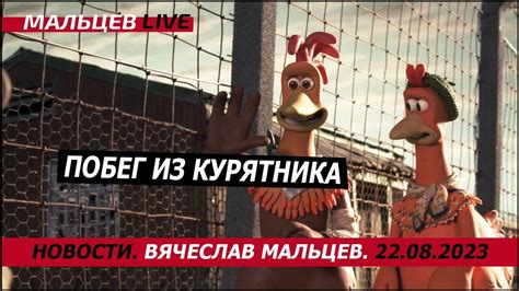 Побег из курятника - YouTube