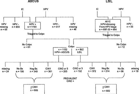 Prospective Follow Up Suggests Similar Risk Of Subsequent Cervical Intraepithelial Neoplasia