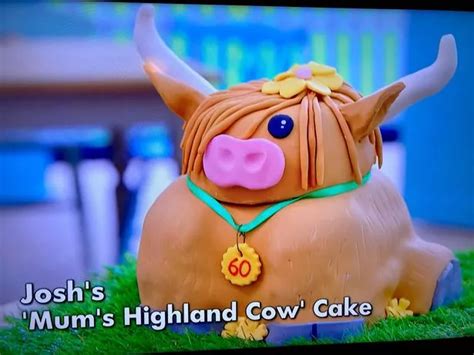Leicestershires Bake Off Contestant Josh Makes It Through Week One